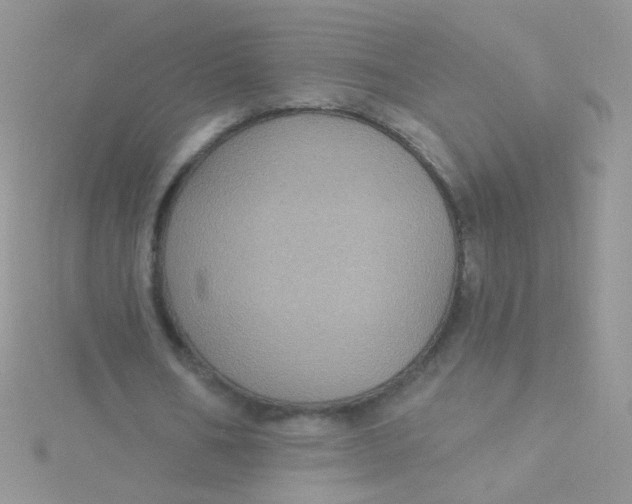 X0000115320578200911231352