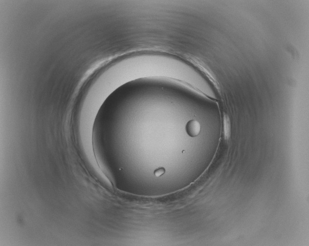 X0000115320579200911231352