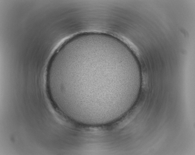 X0000115320580200911231352