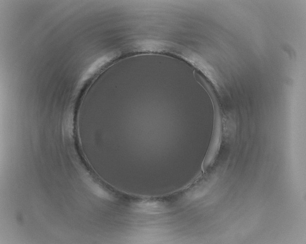 X0000115320581200911231352