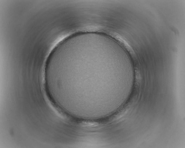 X0000115320582200911231352