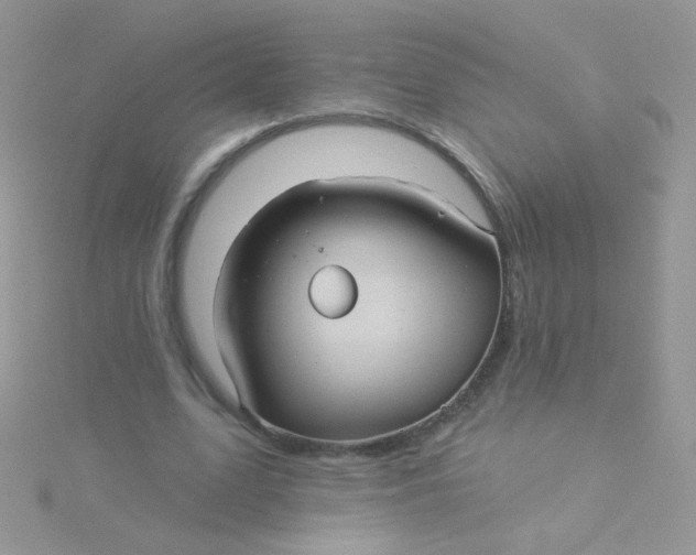 X0000115320583200911231352