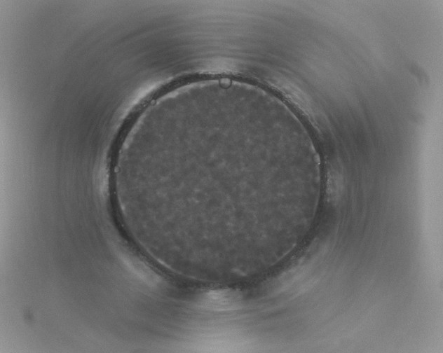 X0000115320584200911231352