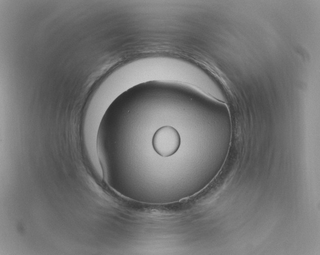 X0000115320585200911231352