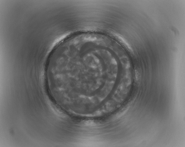 X0000115320588200911231352