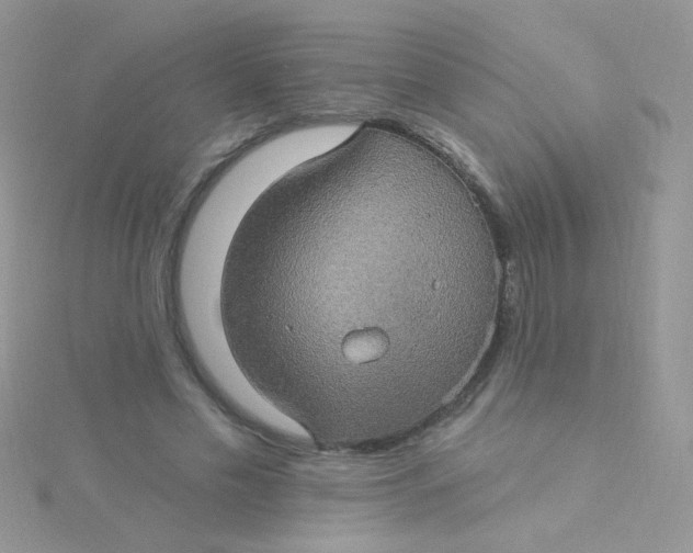 X0000115320589200911231352