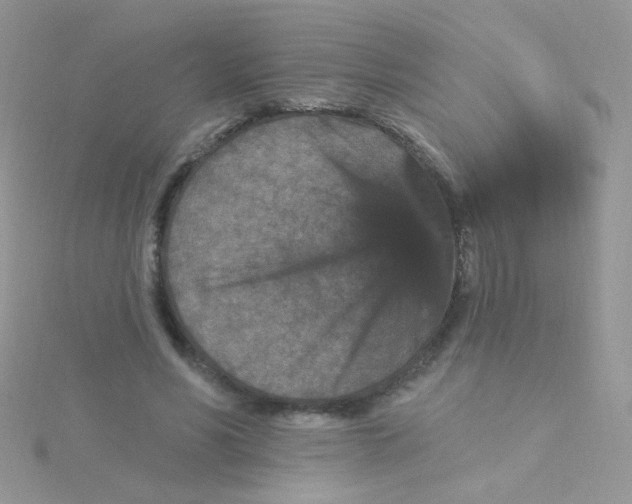 X0000115320590200911231352