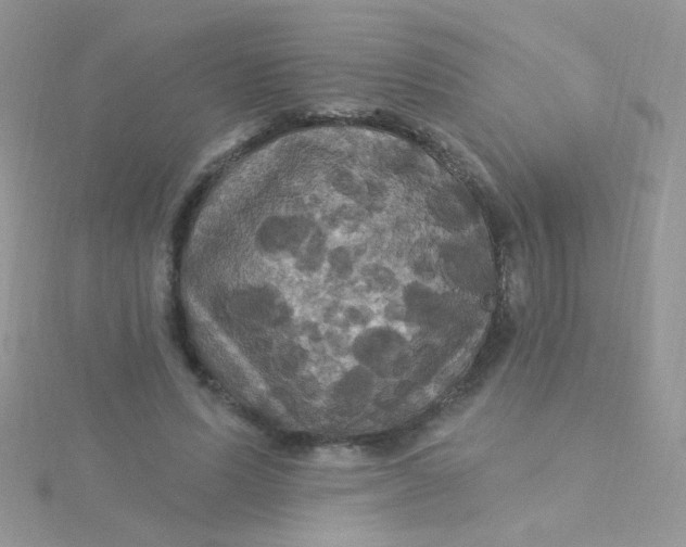 X0000115320591200911231352