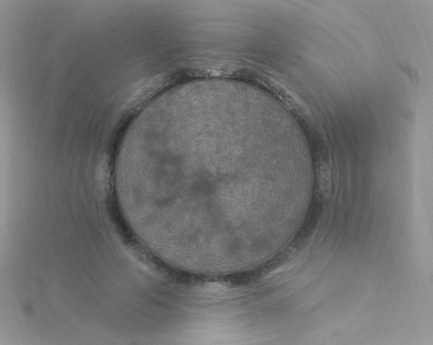 X0000115320594200911231352