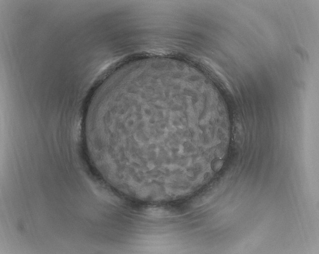 X0000115320596200911231352