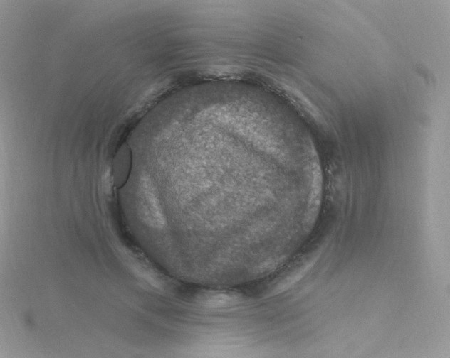 X0000115320597200911231352