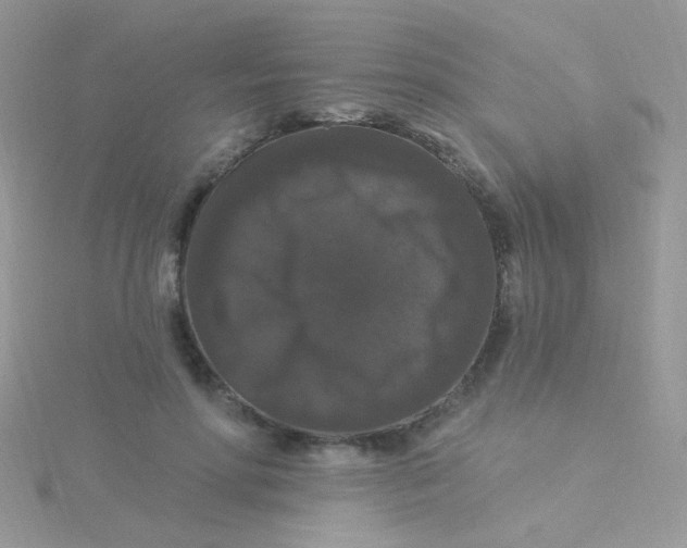 X0000115320598200911231352