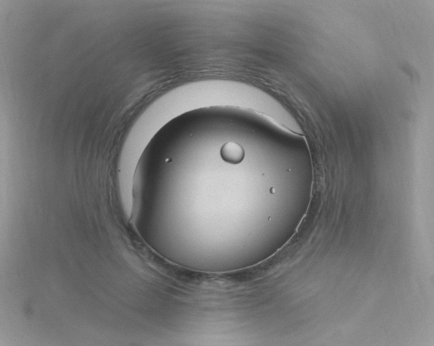 X0000115320599200911231352