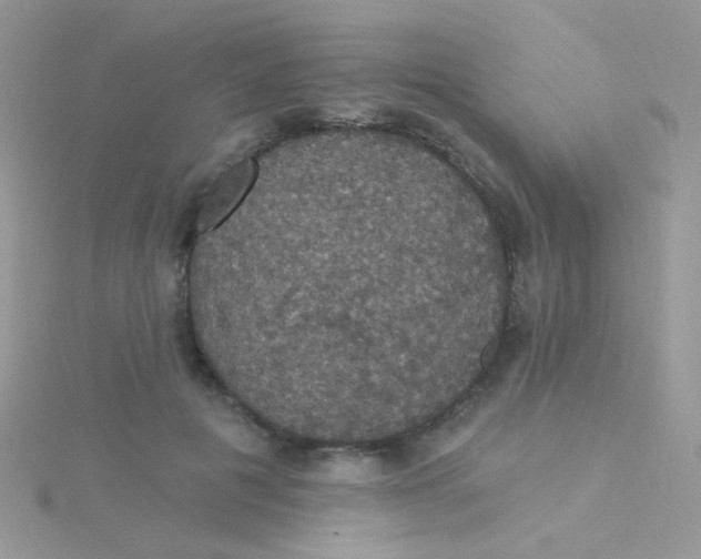 X0000115320601200911231352