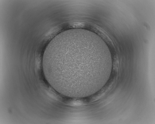 X0000115320604200911231352