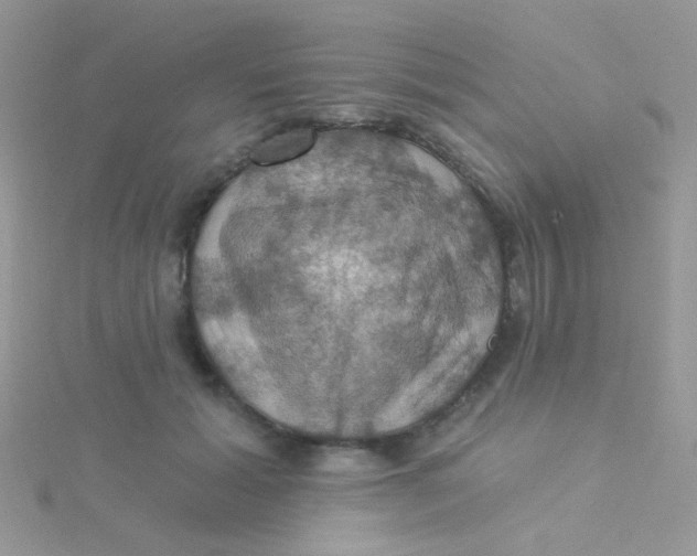 X0000115320605200911231352