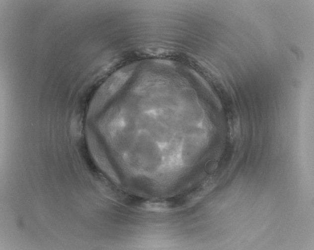 X0000115320606200911231352