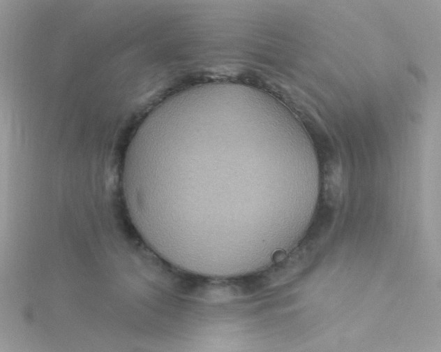 X0000115320608200911231352