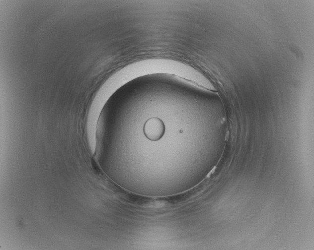 X0000115320609200911231352