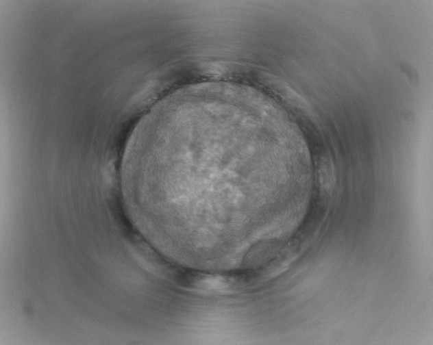 X0000115320611200911231352