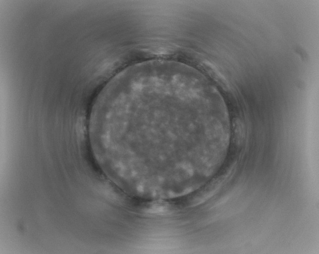 X0000115320612200911231352