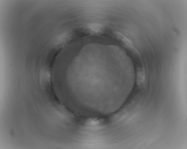 X0000115320613200911231352