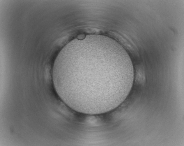 X0000115320616200911231352