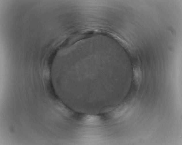 X0000115320617200911231352