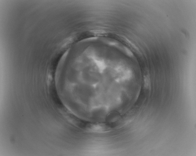 X0000115320618200911231352