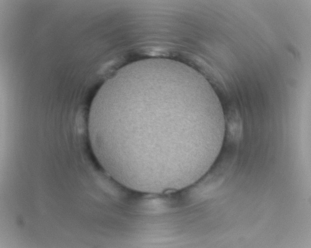 X0000115320620200911231352