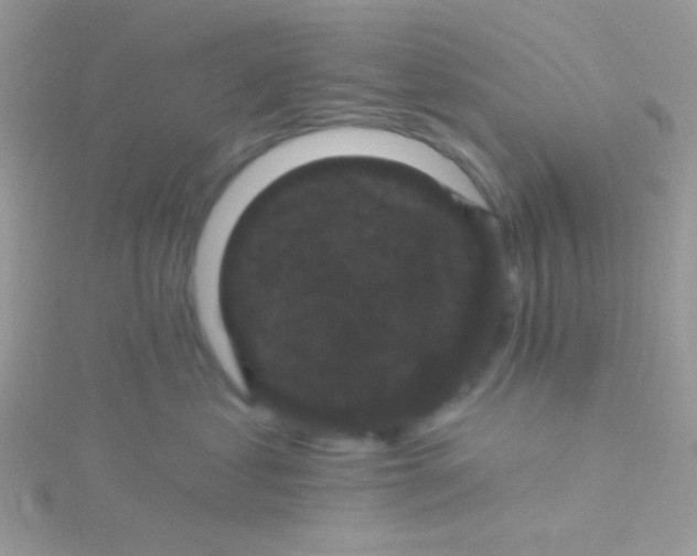 X0000115320621200911231352