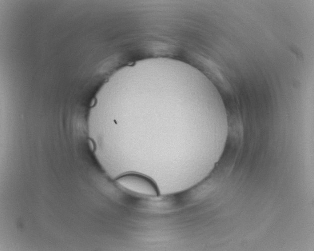 X0000115320622200911231352