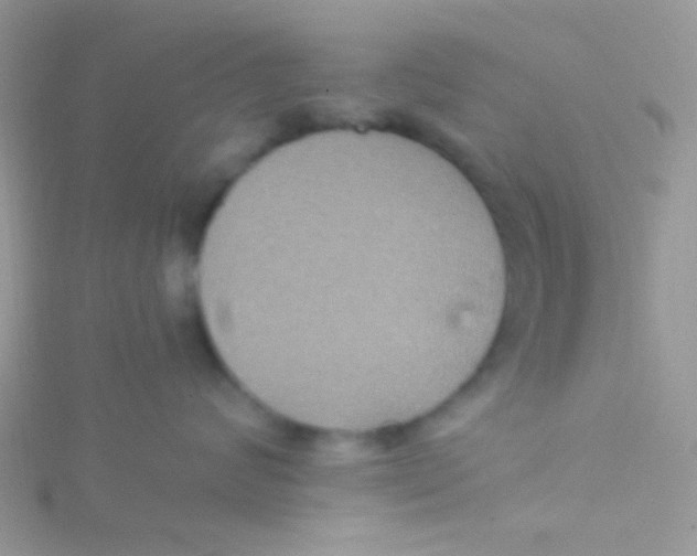 X0000115320624200911231352