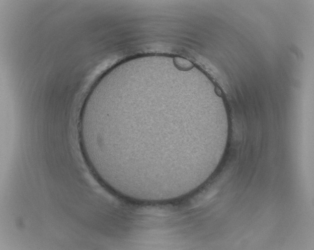 X0000115320625200911231351