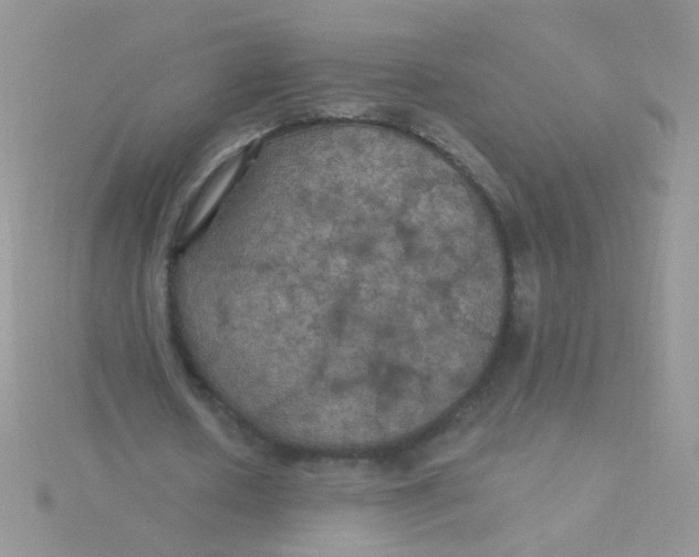 X0000115320626200911231351