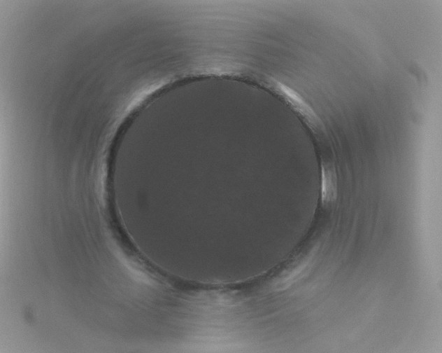 X0000115320627200911231351