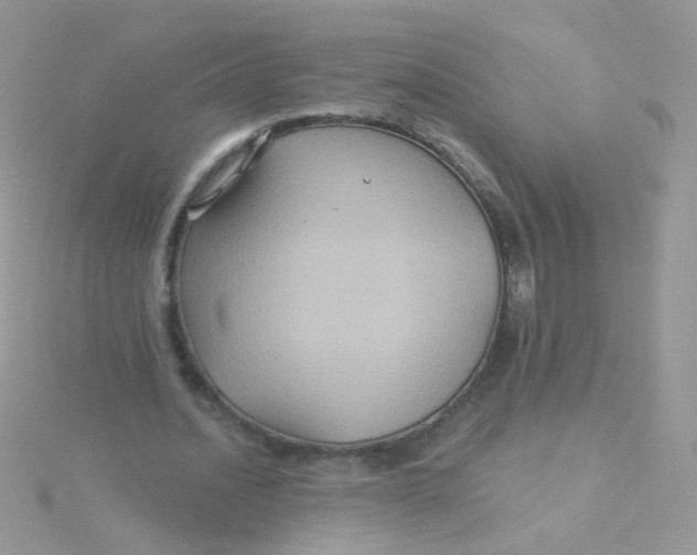 X0000115320628200911231351