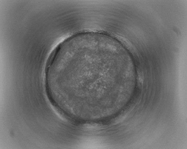 X0000115320630200911231351