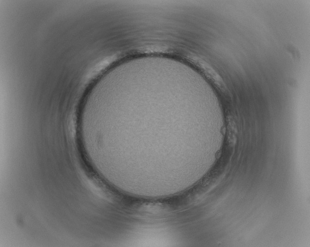 X0000115320631200911231351