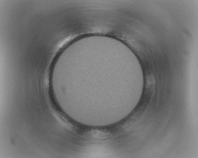 X0000115320632200911231351