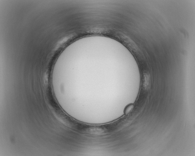 X0000115320636200911231351