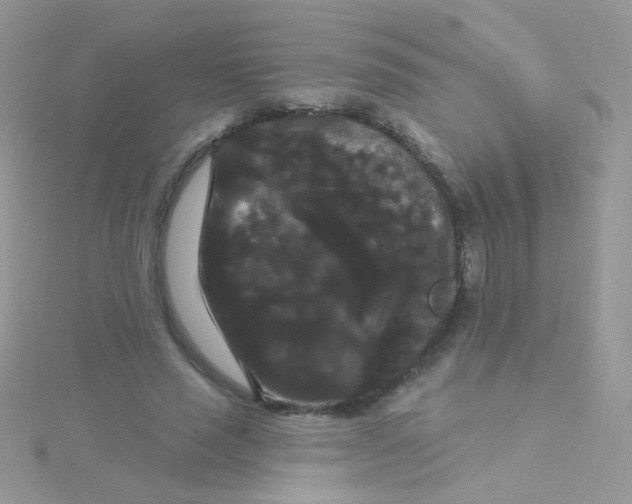 X0000115320637200911231351