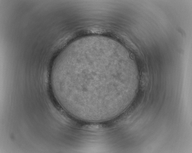 X0000115320639200911231351