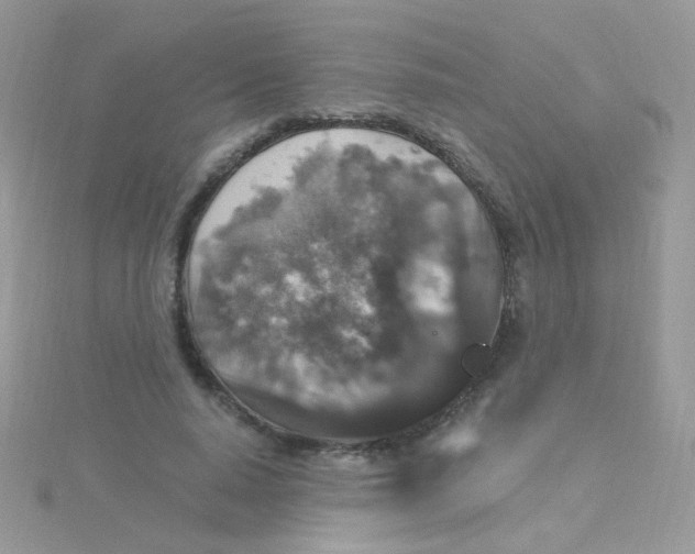 X0000115320640200911231351