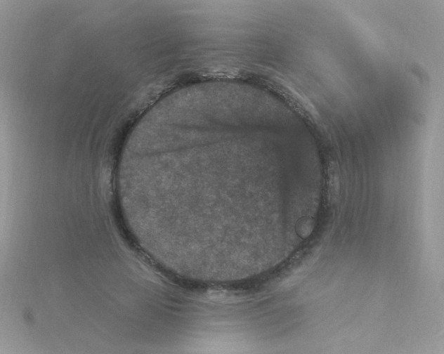 X0000115320641200911231351