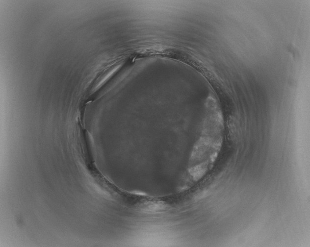 X0000115320642200911231351