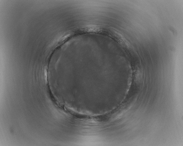 X0000115320643200911231351