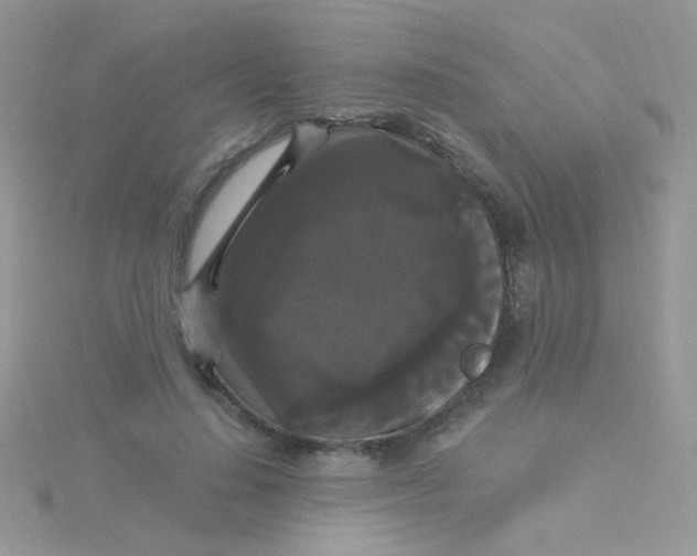 X0000115320644200911231351