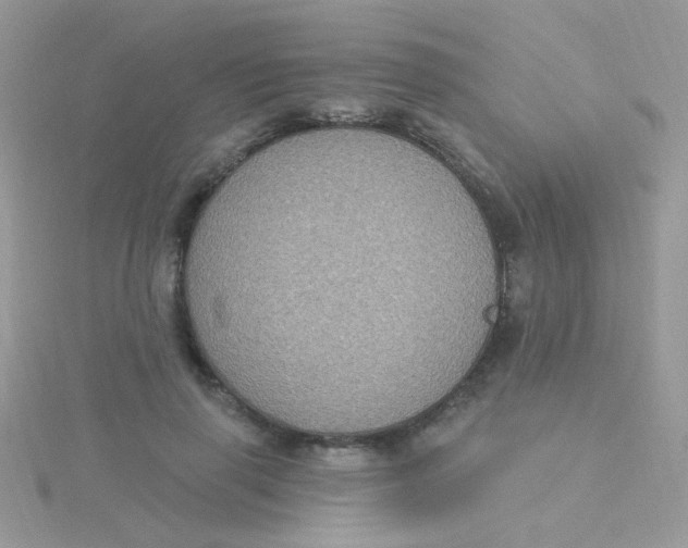 X0000115320645200911231351