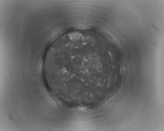 X0000115320647200911231351